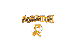 This is an image of the scratch cat
